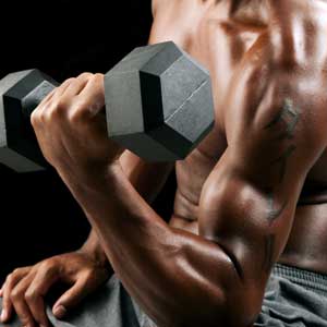 Pesas y Fitness